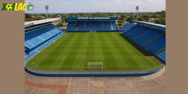 Ressacada là điểm tựa trong trận Avai vs Goias.