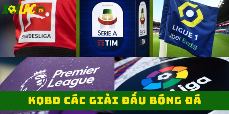 Kết quả bóng đá các giải đấu 